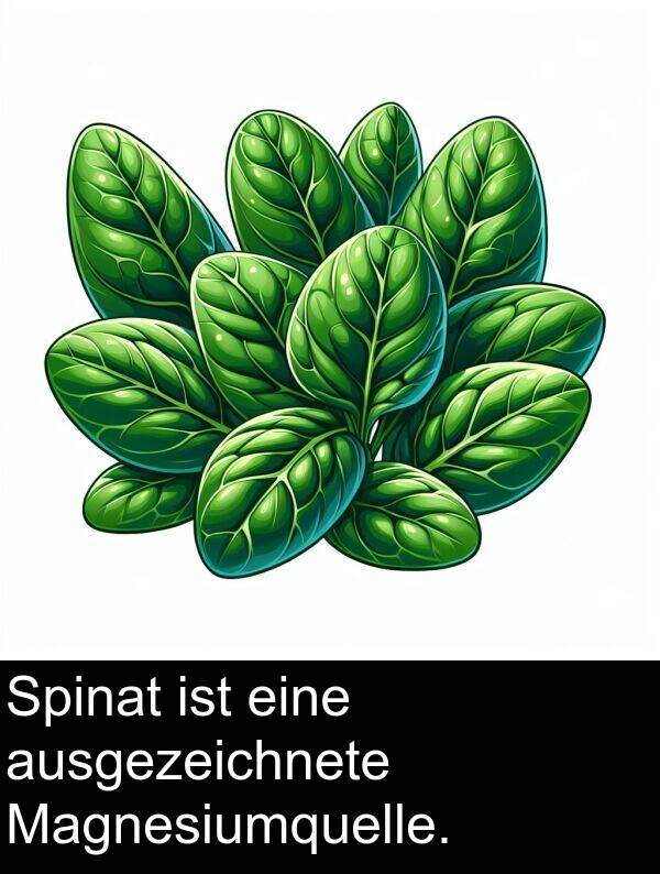 Magnesiumquelle: Spinat ist eine ausgezeichnete Magnesiumquelle.
