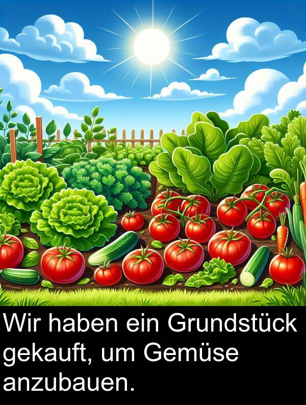 Wir: Wir haben ein Grundstück gekauft, um Gemüse anzubauen.