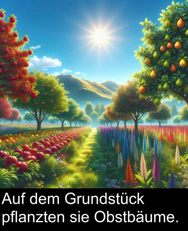 dem: Auf dem Grundstück pflanzten sie Obstbäume.