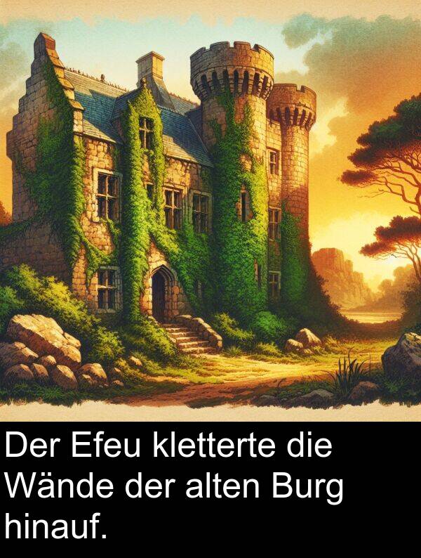 Wände: Der Efeu kletterte die Wände der alten Burg hinauf.