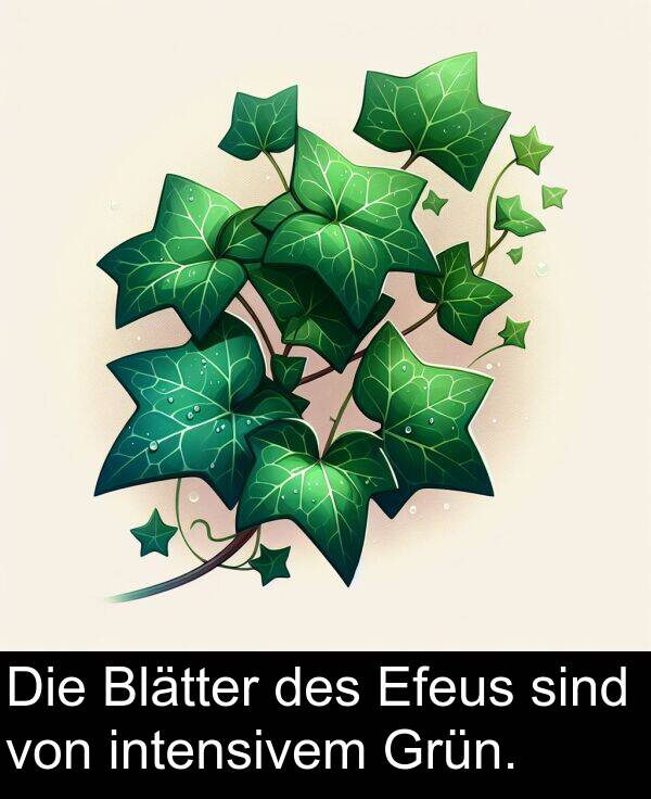 Efeus: Die Blätter des Efeus sind von intensivem Grün.