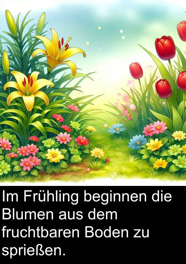 fruchtbaren: Im Frühling beginnen die Blumen aus dem fruchtbaren Boden zu sprießen.