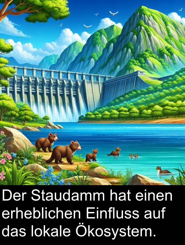 Einfluss: Der Staudamm hat einen erheblichen Einfluss auf das lokale Ökosystem.
