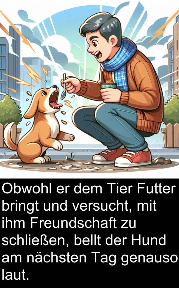 nächsten: Obwohl er dem Tier Futter bringt und versucht, mit ihm Freundschaft zu schließen, bellt der Hund am nächsten Tag genauso laut.