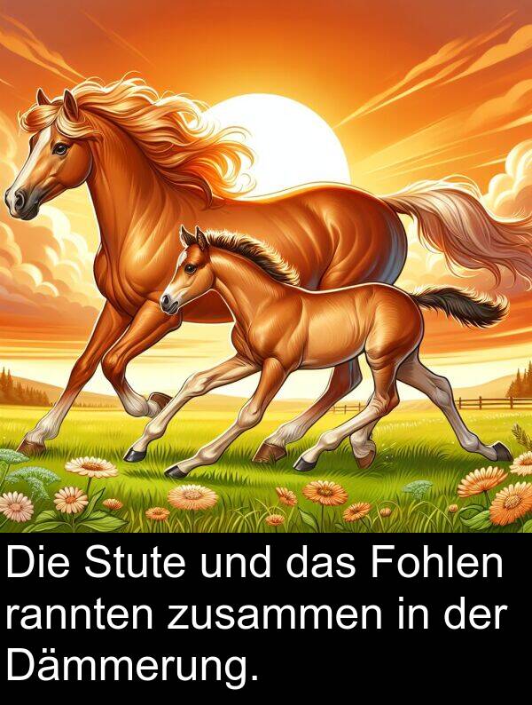 rannten: Die Stute und das Fohlen rannten zusammen in der Dämmerung.