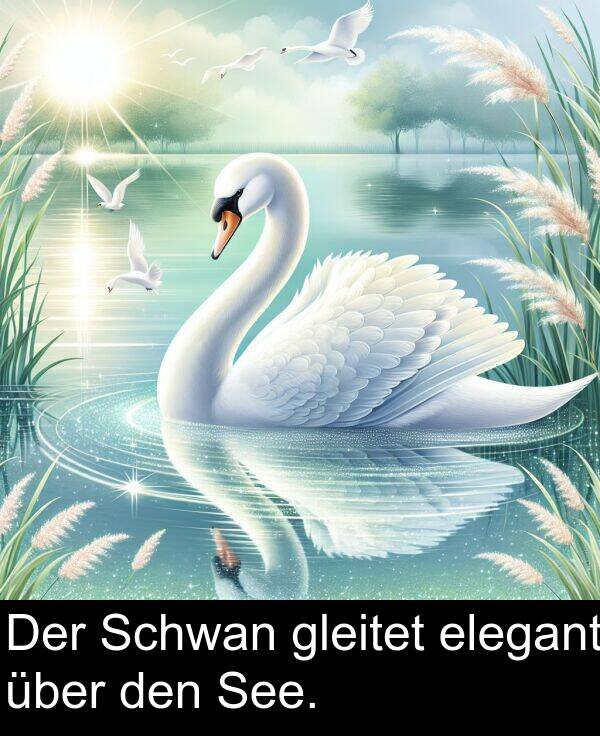 den: Der Schwan gleitet elegant über den See.
