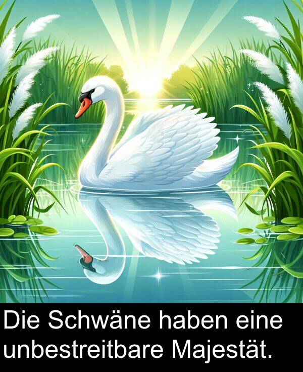 eine: Die Schwäne haben eine unbestreitbare Majestät.