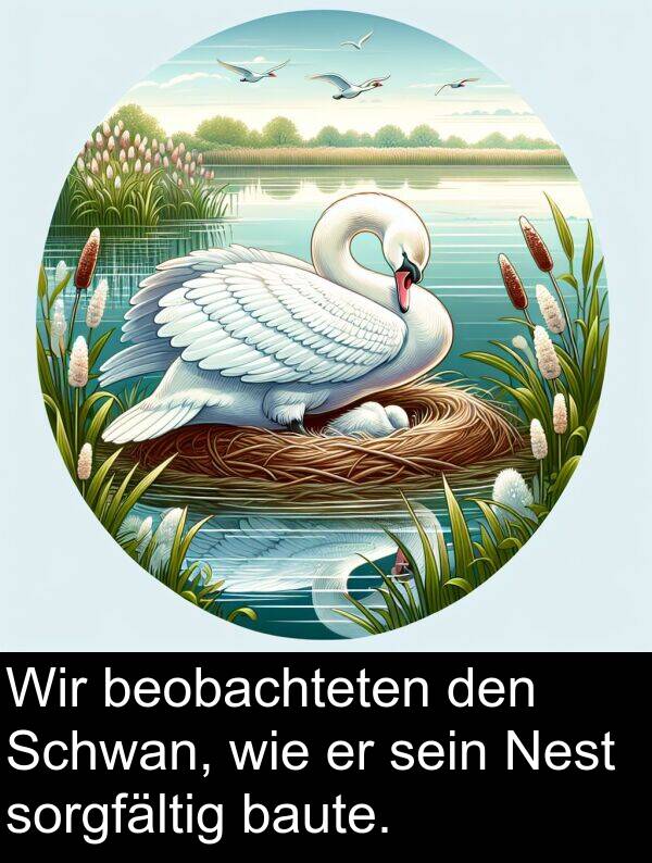 wie: Wir beobachteten den Schwan, wie er sein Nest sorgfältig baute.