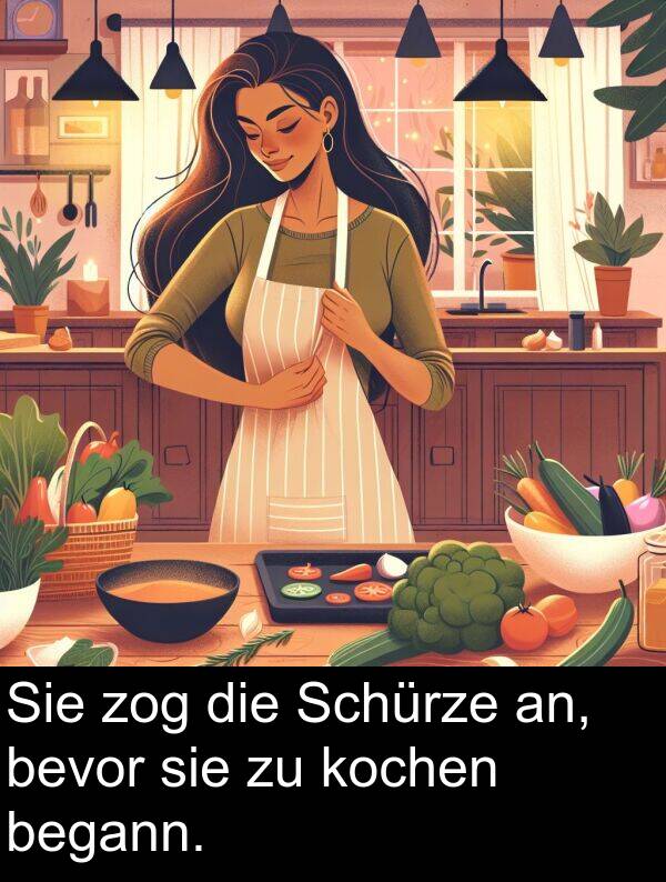begann: Sie zog die Schürze an, bevor sie zu kochen begann.