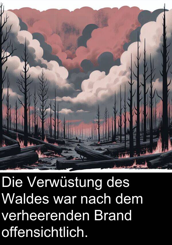 Waldes: Die Verwüstung des Waldes war nach dem verheerenden Brand offensichtlich.
