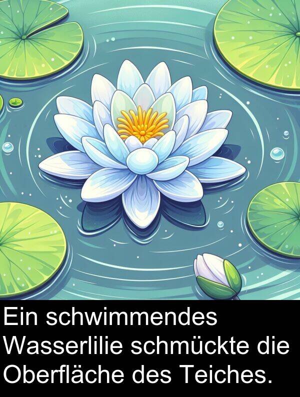 Wasserlilie: Ein schwimmendes Wasserlilie schmückte die Oberfläche des Teiches.