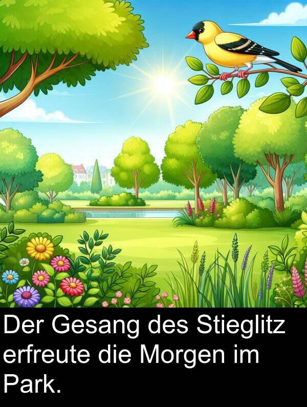 Stieglitz: Der Gesang des Stieglitz erfreute die Morgen im Park.