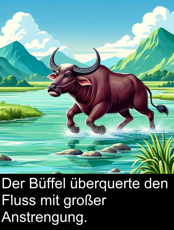 überquerte: Der Büffel überquerte den Fluss mit großer Anstrengung.