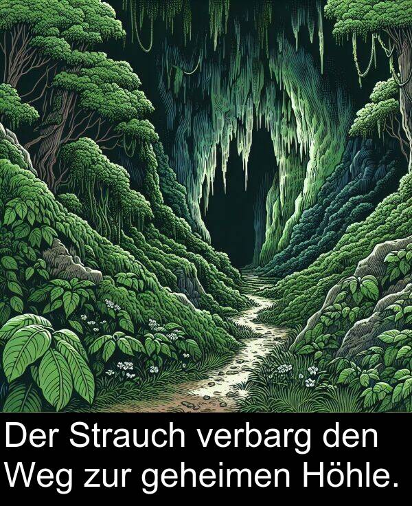 den: Der Strauch verbarg den Weg zur geheimen Höhle.