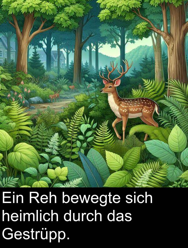 durch: Ein Reh bewegte sich heimlich durch das Gestrüpp.