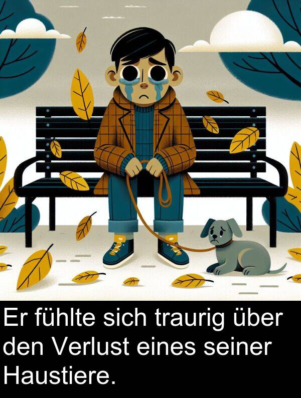 fühlte: Er fühlte sich traurig über den Verlust eines seiner Haustiere.