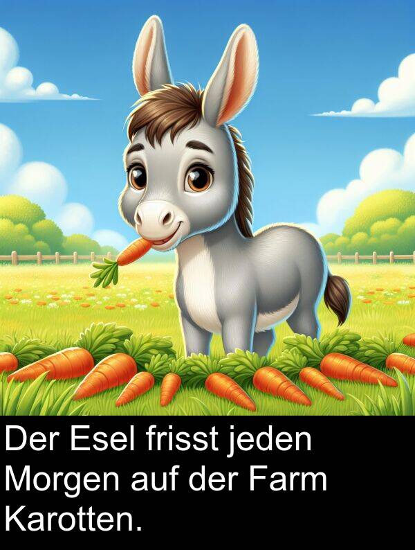 Farm: Der Esel frisst jeden Morgen auf der Farm Karotten.
