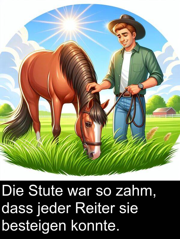dass: Die Stute war so zahm, dass jeder Reiter sie besteigen konnte.