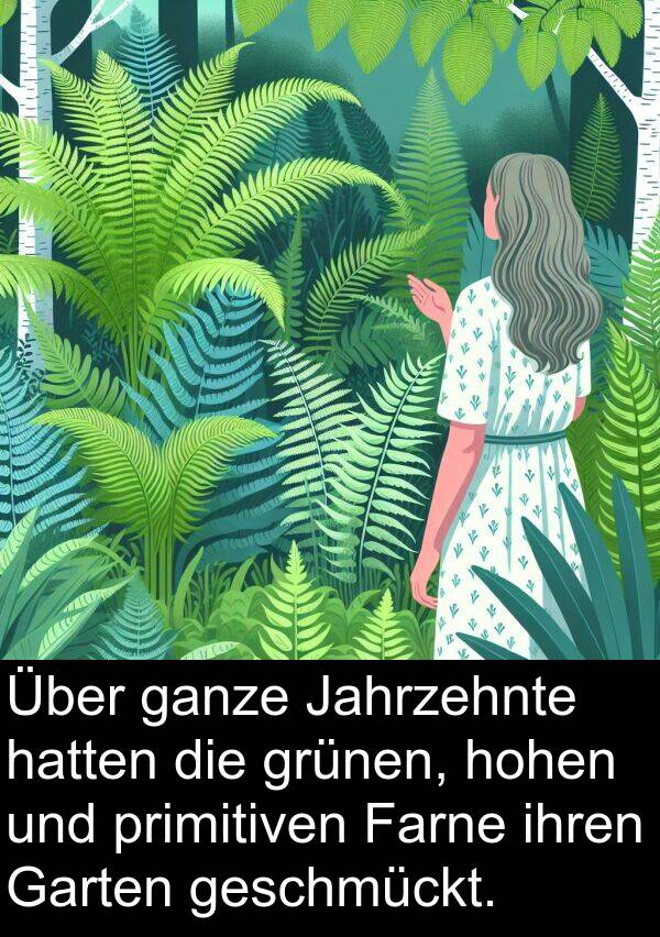 Farne: Über ganze Jahrzehnte hatten die grünen, hohen und primitiven Farne ihren Garten geschmückt.