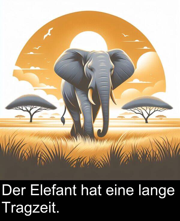 Der: Der Elefant hat eine lange Tragzeit.