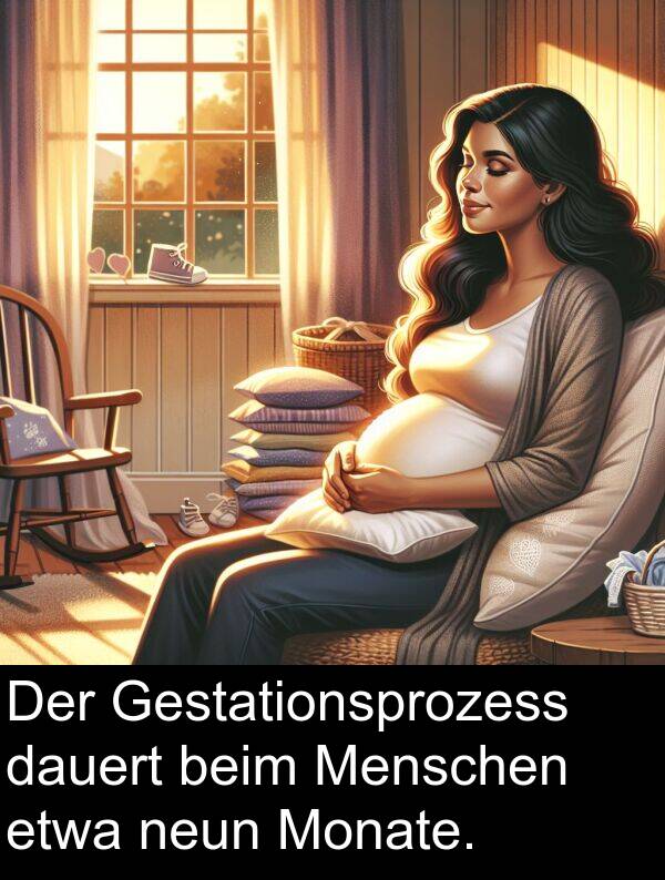 dauert: Der Gestationsprozess dauert beim Menschen etwa neun Monate.