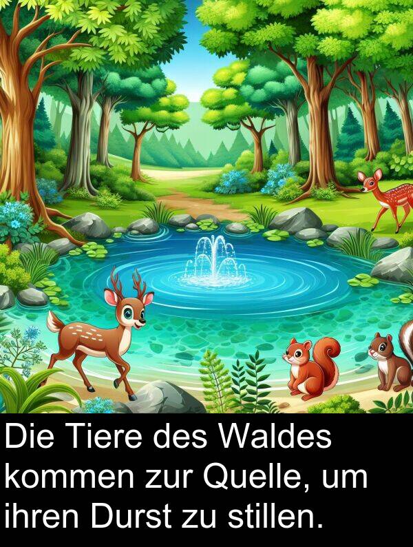 Waldes: Die Tiere des Waldes kommen zur Quelle, um ihren Durst zu stillen.