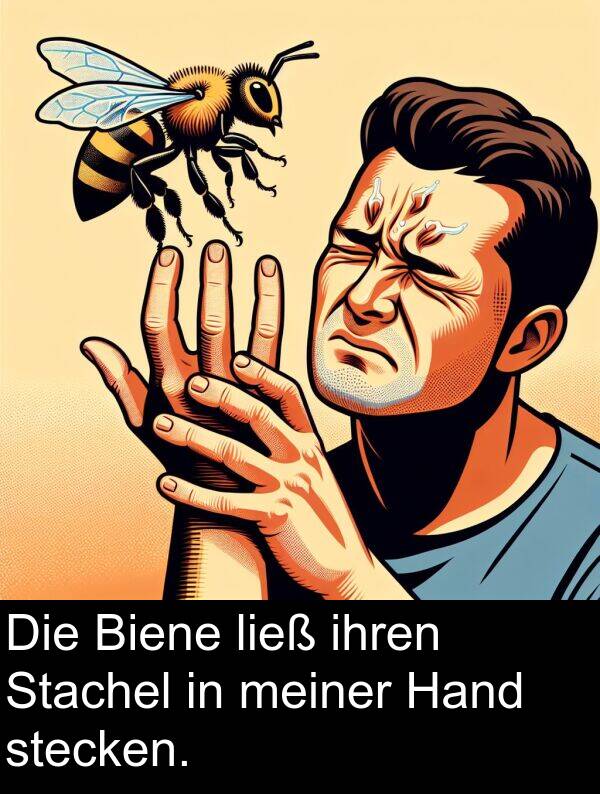 ihren: Die Biene ließ ihren Stachel in meiner Hand stecken.