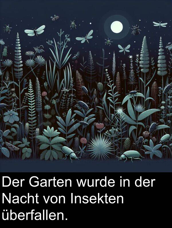 wurde: Der Garten wurde in der Nacht von Insekten überfallen.