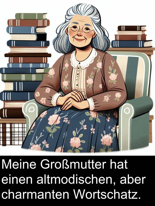 Wortschatz: Meine Großmutter hat einen altmodischen, aber charmanten Wortschatz.