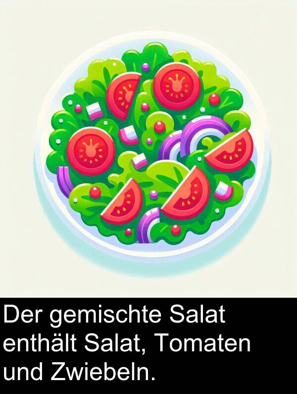 enthält: Der gemischte Salat enthält Salat, Tomaten und Zwiebeln.