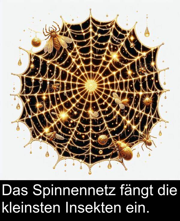 fängt: Das Spinnennetz fängt die kleinsten Insekten ein.