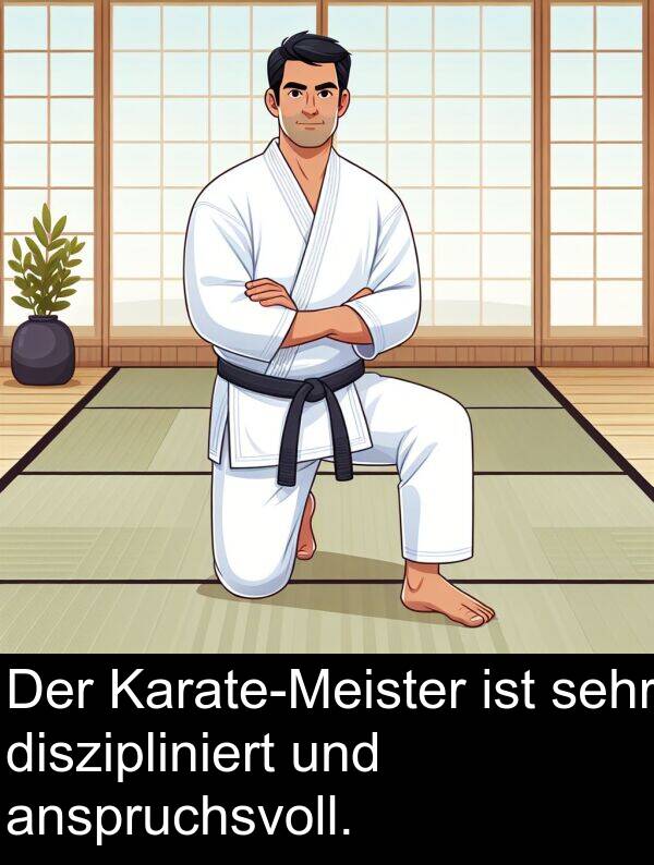 diszipliniert: Der Karate-Meister ist sehr diszipliniert und anspruchsvoll.