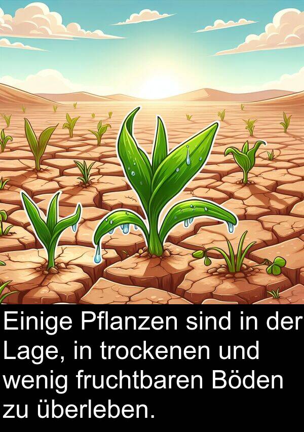 fruchtbaren: Einige Pflanzen sind in der Lage, in trockenen und wenig fruchtbaren Böden zu überleben.