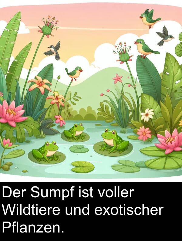 Wildtiere: Der Sumpf ist voller Wildtiere und exotischer Pflanzen.