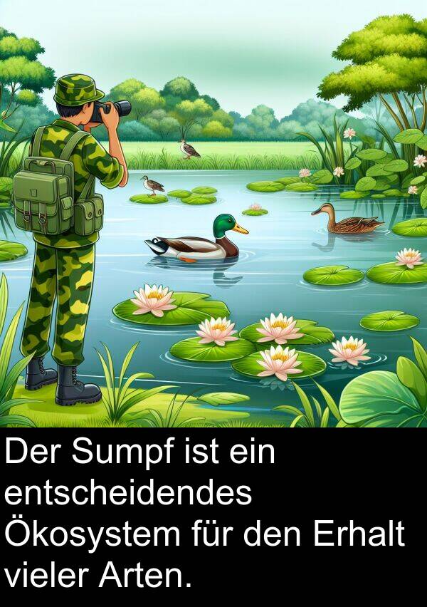 vieler: Der Sumpf ist ein entscheidendes Ökosystem für den Erhalt vieler Arten.