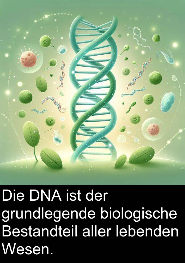 DNA: Die DNA ist der grundlegende biologische Bestandteil aller lebenden Wesen.