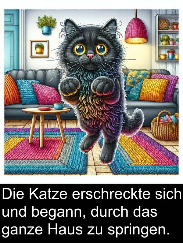 durch: Die Katze erschreckte sich und begann, durch das ganze Haus zu springen.