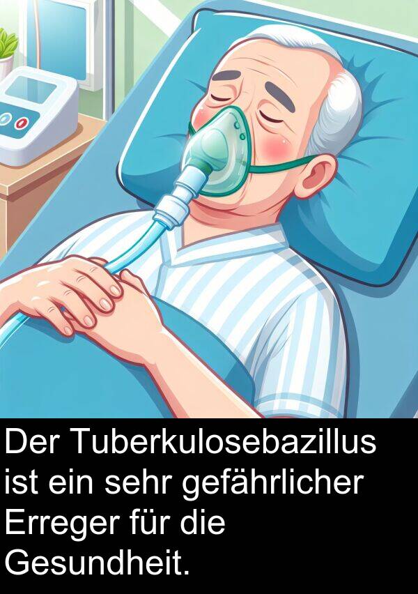 Gesundheit: Der Tuberkulosebazillus ist ein sehr gefährlicher Erreger für die Gesundheit.