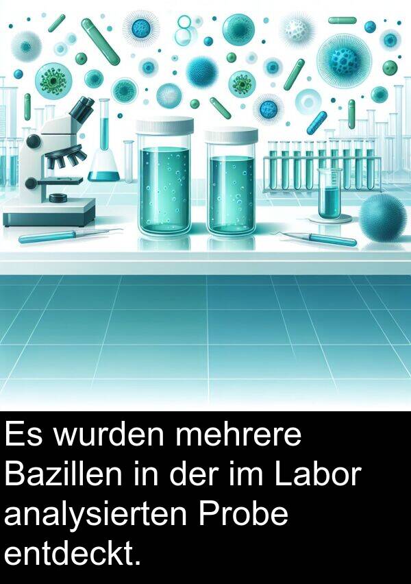 Probe: Es wurden mehrere Bazillen in der im Labor analysierten Probe entdeckt.