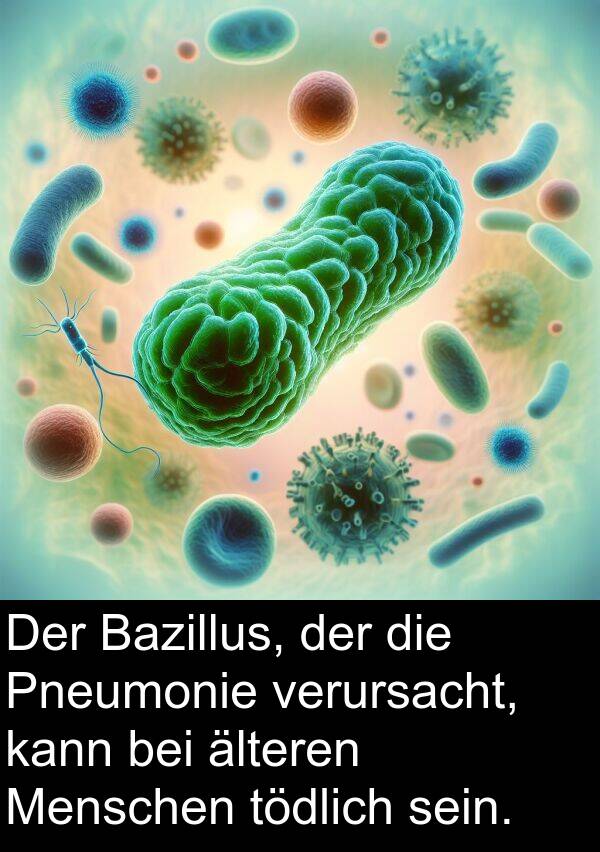 Pneumonie: Der Bazillus, der die Pneumonie verursacht, kann bei älteren Menschen tödlich sein.
