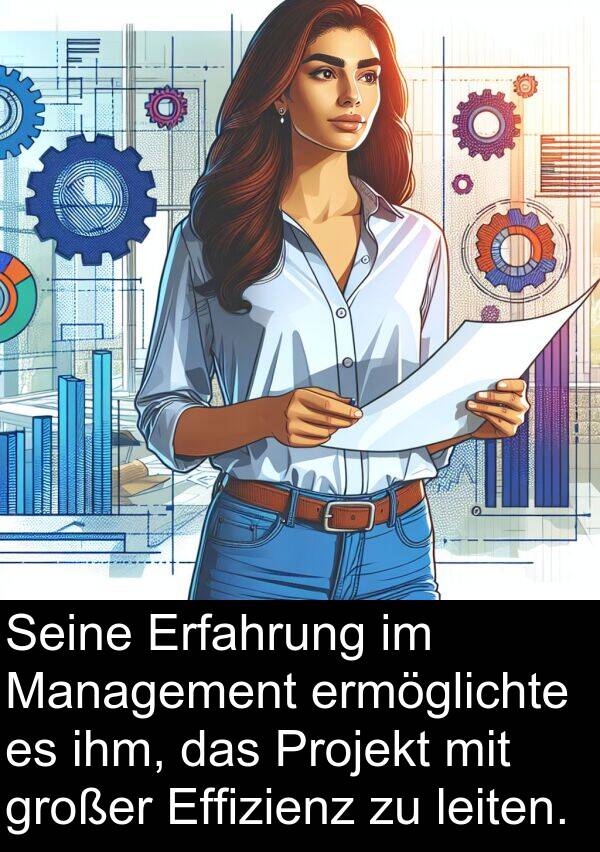 Management: Seine Erfahrung im Management ermöglichte es ihm, das Projekt mit großer Effizienz zu leiten.