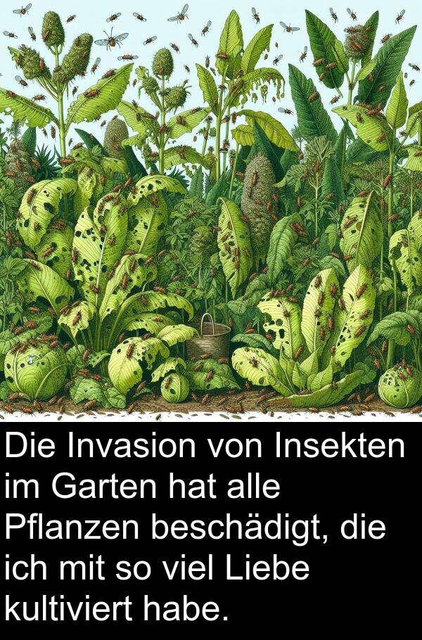 kultiviert: Die Invasion von Insekten im Garten hat alle Pflanzen beschädigt, die ich mit so viel Liebe kultiviert habe.