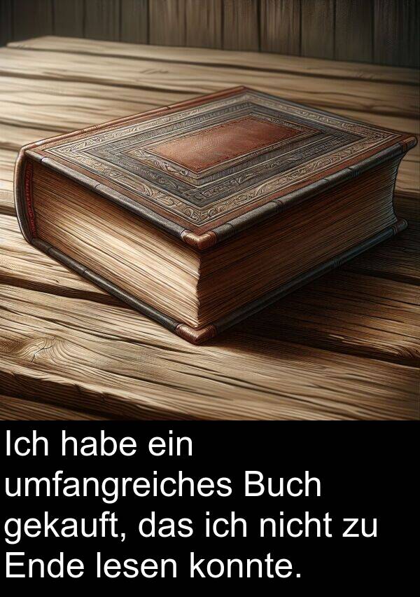 konnte: Ich habe ein umfangreiches Buch gekauft, das ich nicht zu Ende lesen konnte.
