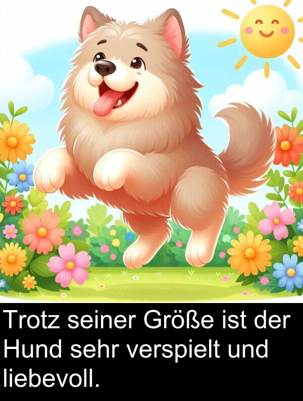 liebevoll: Trotz seiner Größe ist der Hund sehr verspielt und liebevoll.
