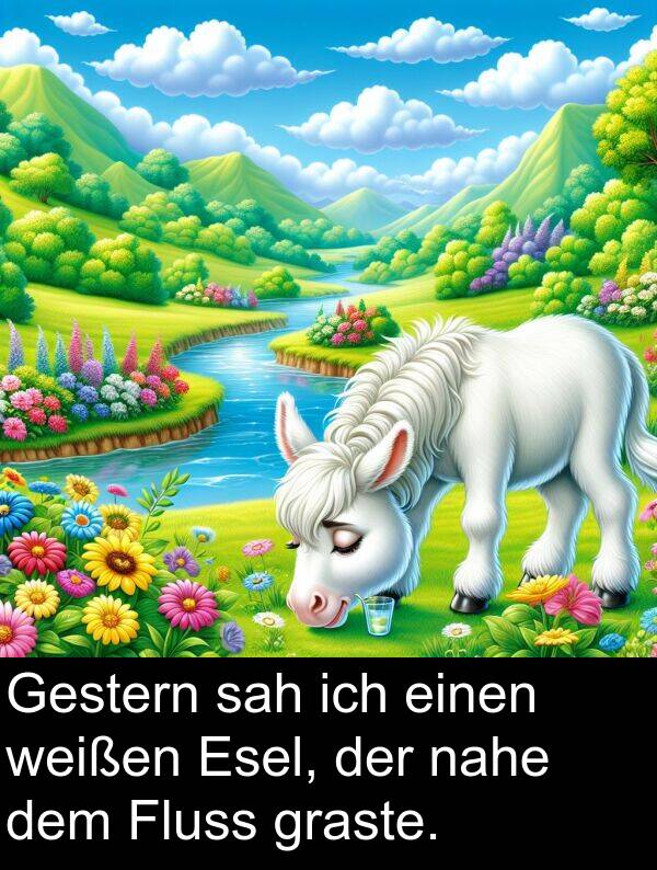 sah: Gestern sah ich einen weißen Esel, der nahe dem Fluss graste.