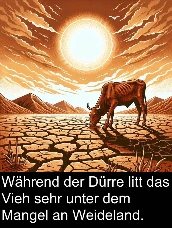 unter: Während der Dürre litt das Vieh sehr unter dem Mangel an Weideland.