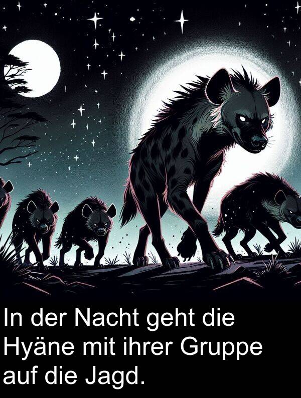 ihrer: In der Nacht geht die Hyäne mit ihrer Gruppe auf die Jagd.