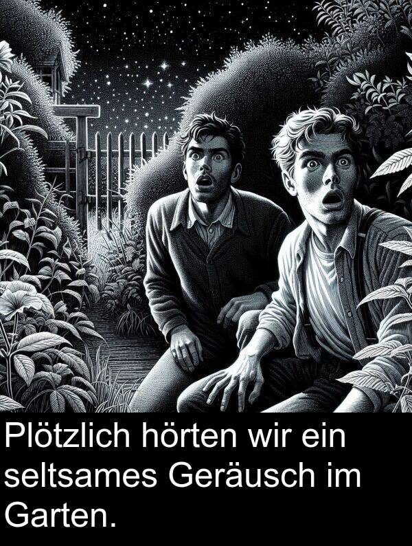 wir: Plötzlich hörten wir ein seltsames Geräusch im Garten.