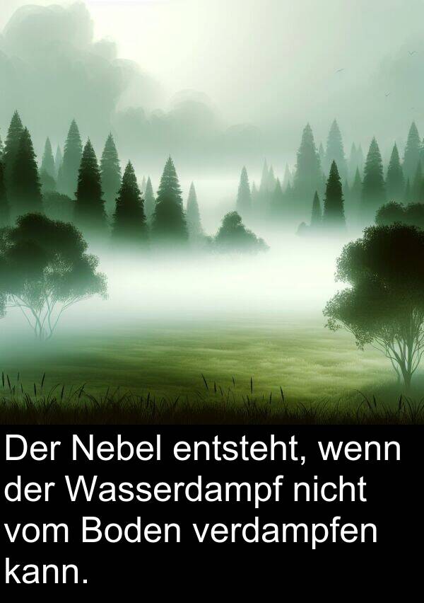 Boden: Der Nebel entsteht, wenn der Wasserdampf nicht vom Boden verdampfen kann.