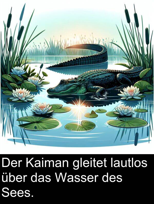 über: Der Kaiman gleitet lautlos über das Wasser des Sees.